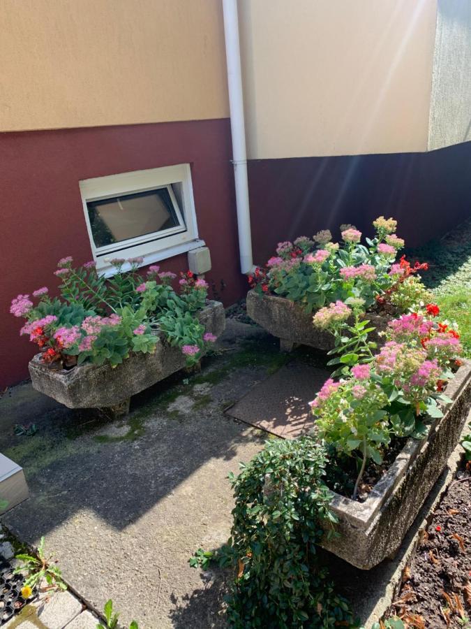 Konig Apartman Hévíz 外观 照片